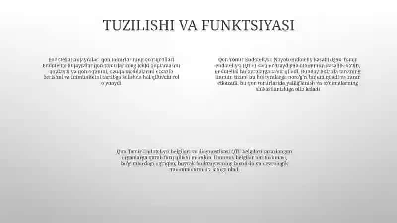 QonTomir Endoteliysi 3