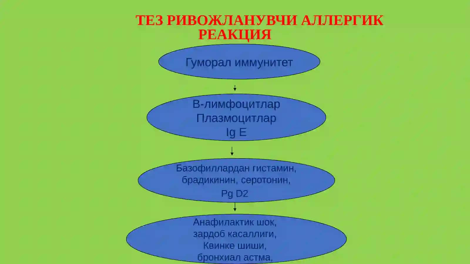 Allergiyaga qarshi dori vositalari. Farmakologiya 3