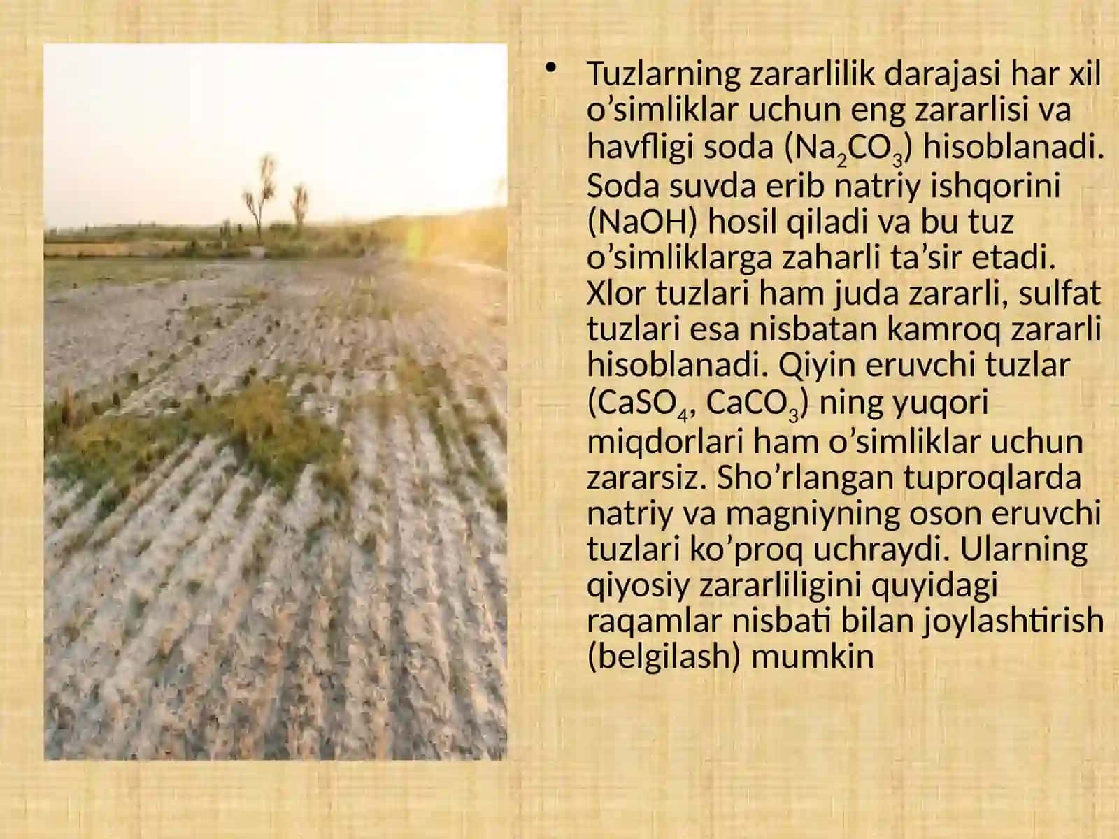 TUPROQDAGI ZAXARLI TUZLAR. TUPROQ SHO'RLANISHIDAGI ASOSIY OMILLAR 3