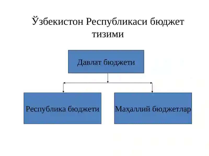 Маҳаллий бюджетлар 3