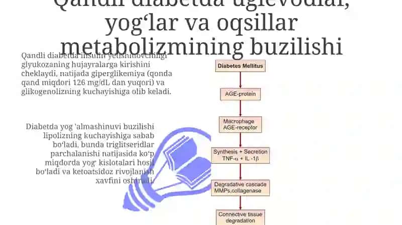 Qandli diabet va ochliqda karbonsuvlar, yo'glar va oqsillar almashinuvining buzilishi 3