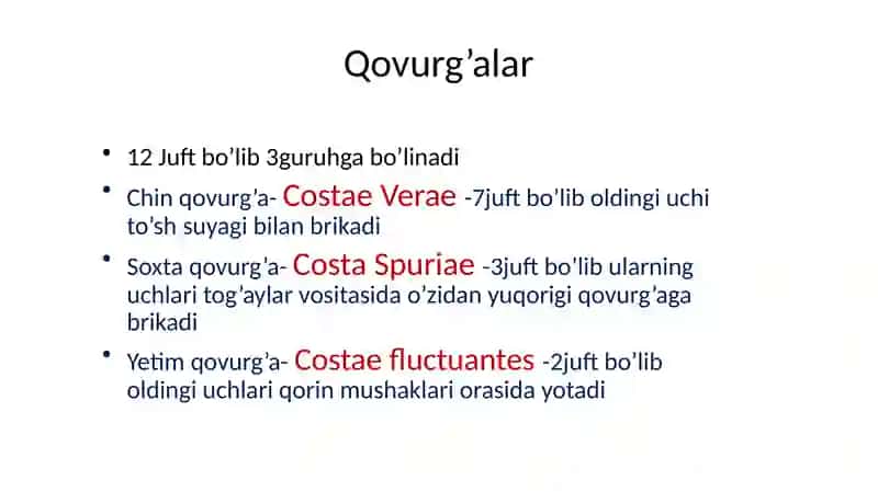 Qovurg‘alar 3