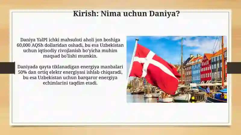 Daniya tajribasi: O'zbekiston uchun raqamli saboqlar 3