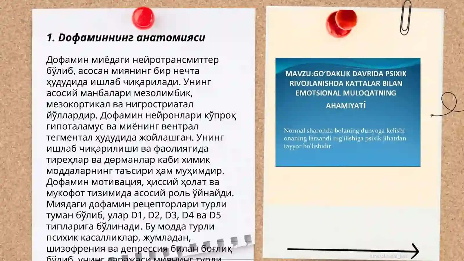 Doфаминнинг анатомияси 3