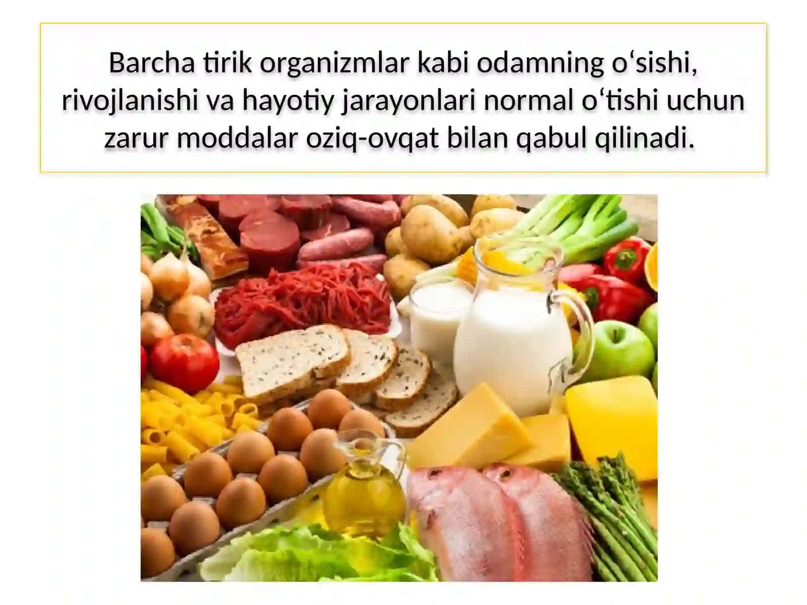 ODAMNING OVQAT HAZM QILISH SISTEMASI 3