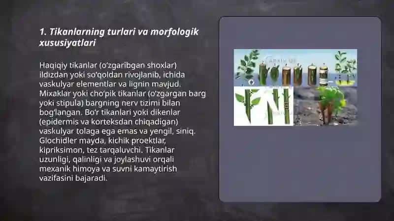 O'simliklarning morfologik himoya mexanizmlari 3