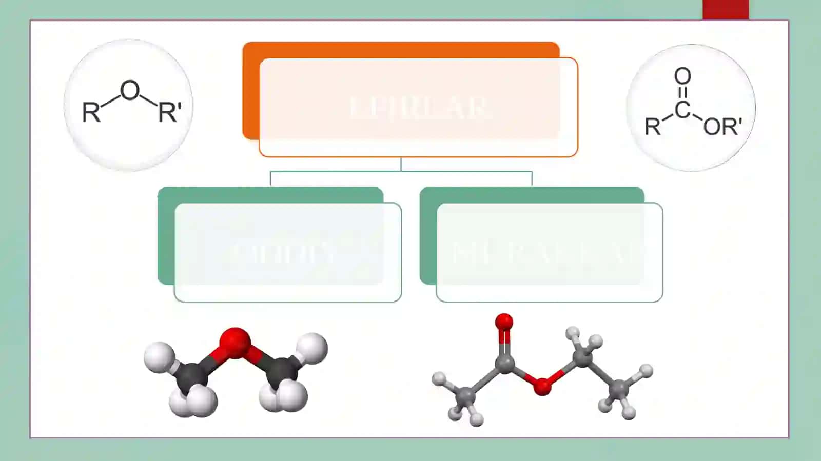 EFIRLAR 3