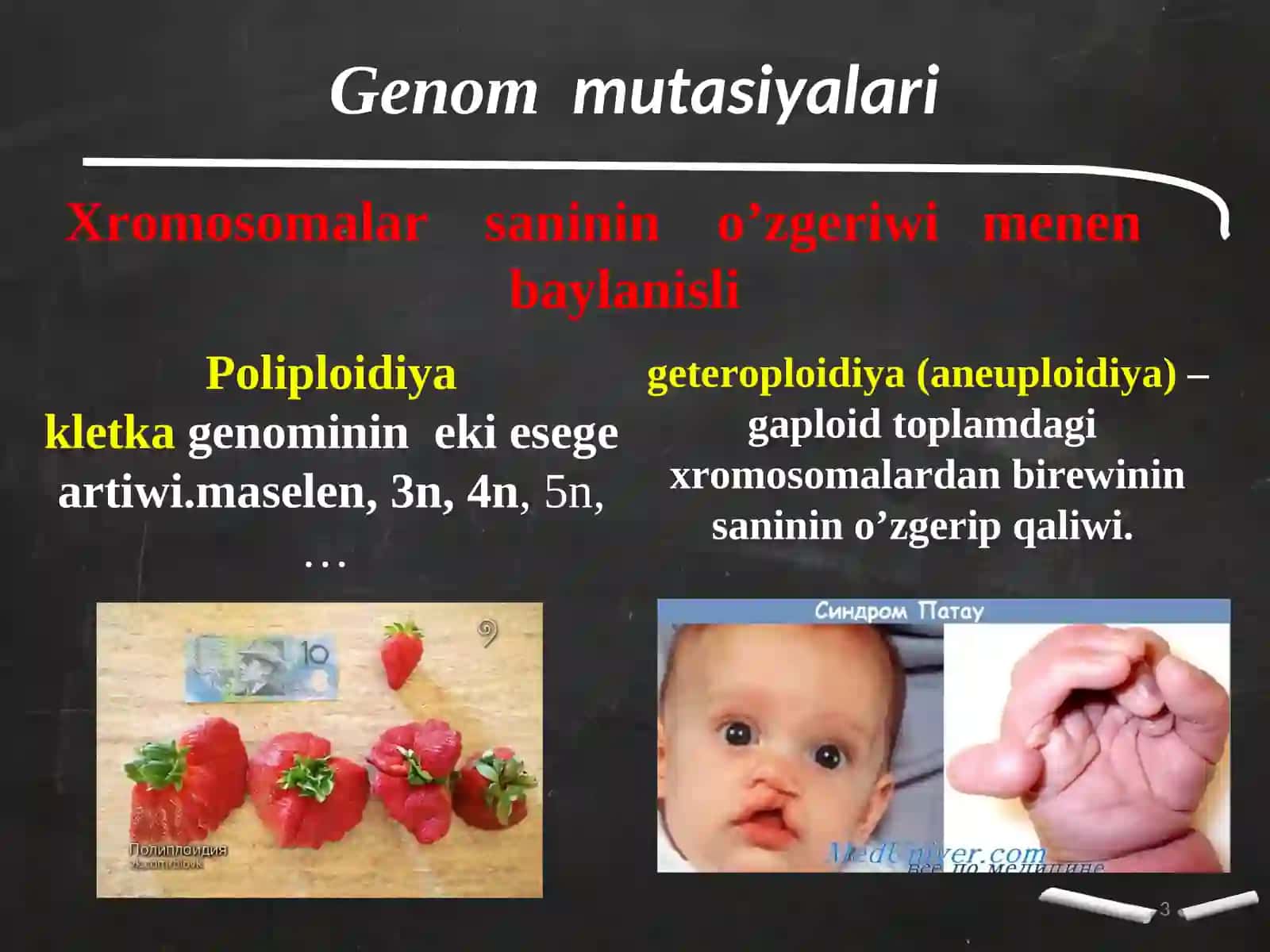 Adamda ushraytugin nasillik keselliklerdi uyreniw ham analizlew 3