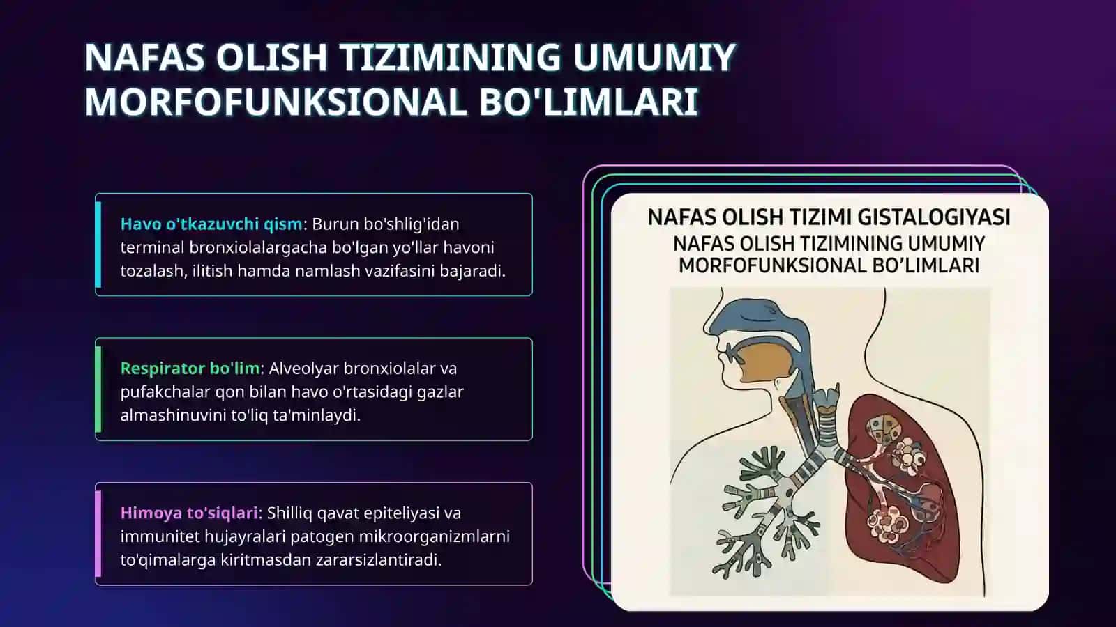 Nafas olish tizimi gistalogiyasi 3