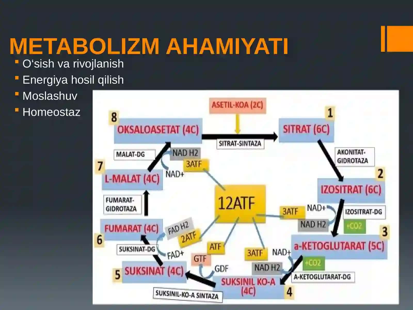 MODDA VA ENERGIYA ALMASHINUVINING BOSHQARILUVI 3