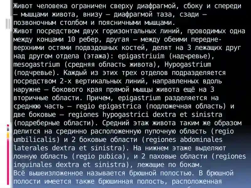 Топография брюшной полости 3