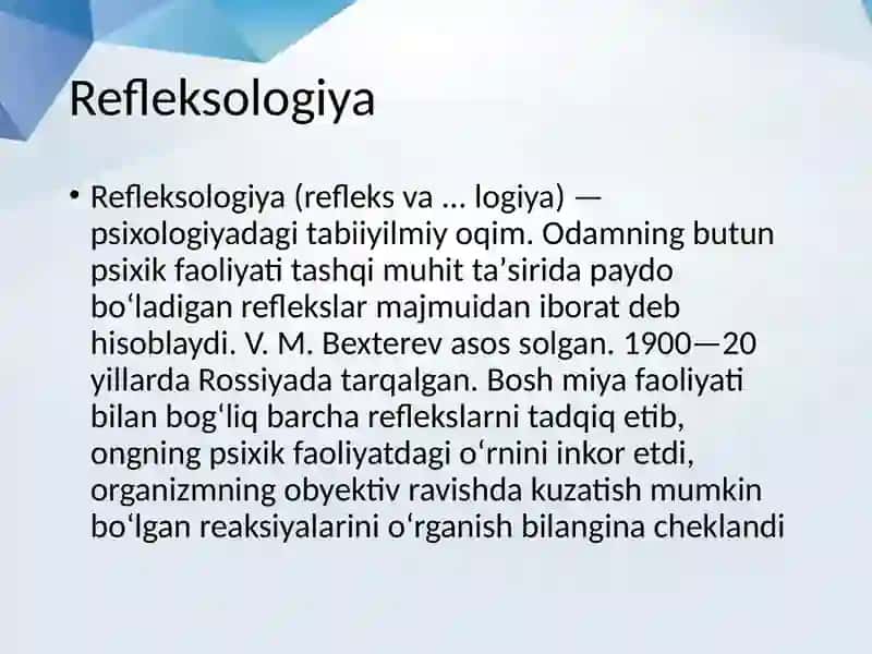 Reflekslar 3