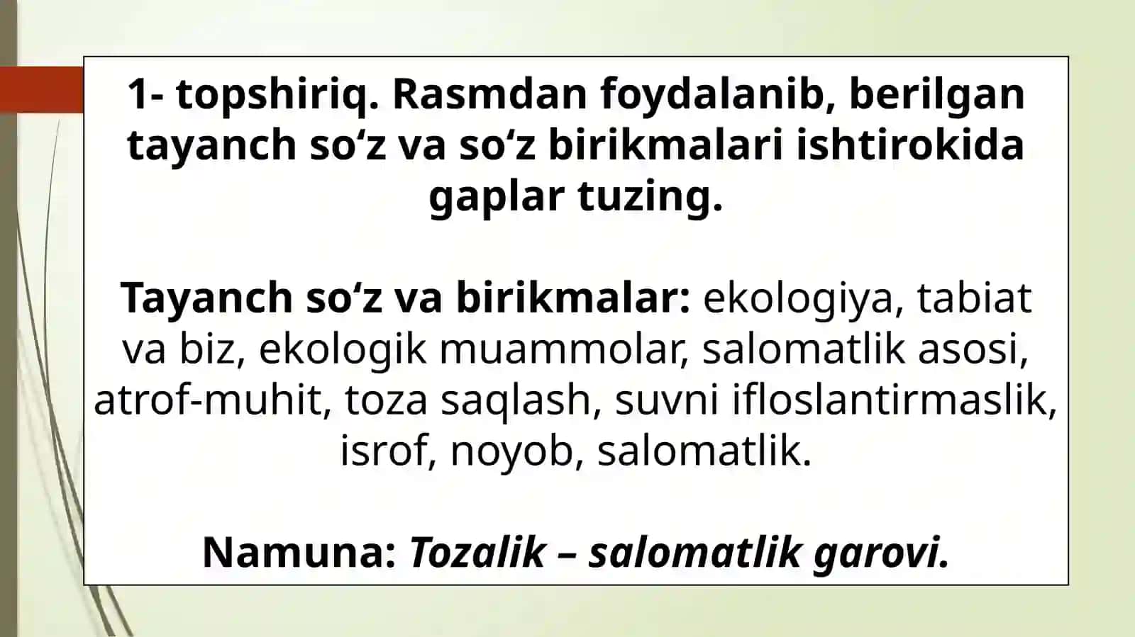 EKOLOGIYA VABIZ 3
