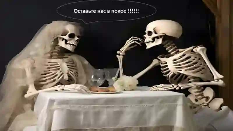 головная череп 3