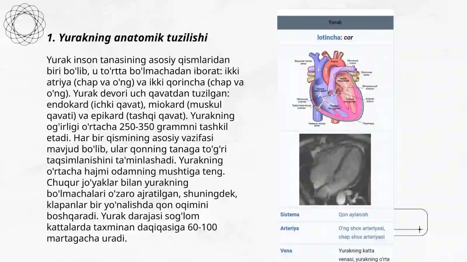 Yurak tuzilishi va vazifasi 3