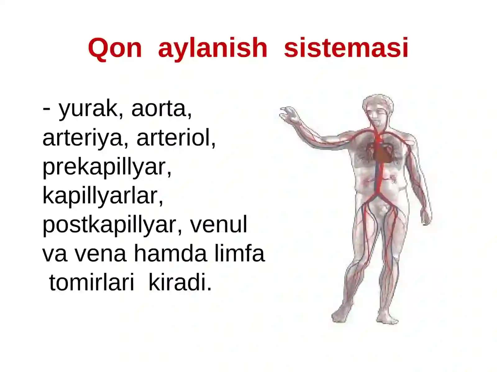 YURAKQON- TOMIR TIZIMI HAYOT FAOLIYATI XAVFSIZLIGI 3