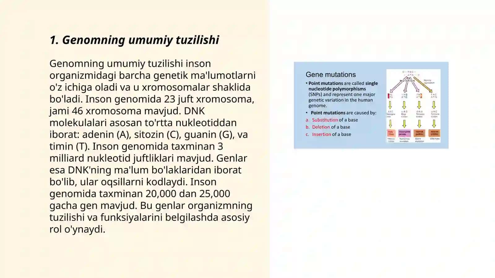 Genomika irsiy omilning tuzilishi va xususiyatlari 3