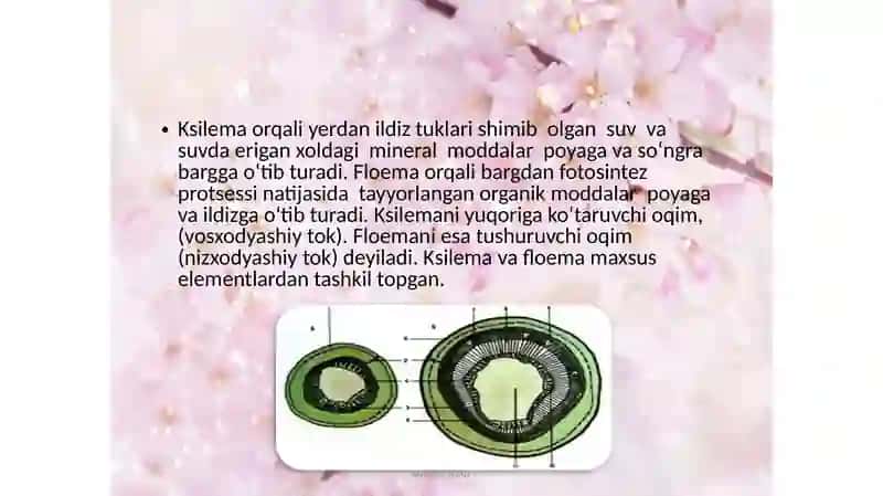 O‘TKAZUVCHI TO‘QIMA 3