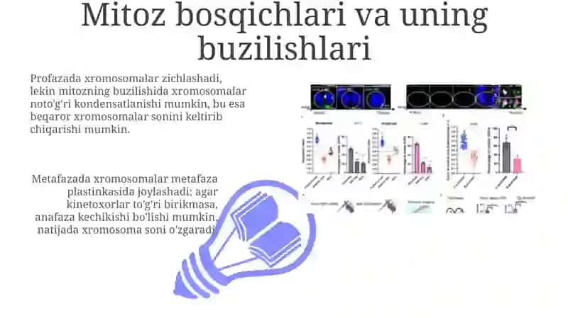 Mitoz va Meyozning Patologiyasi 3