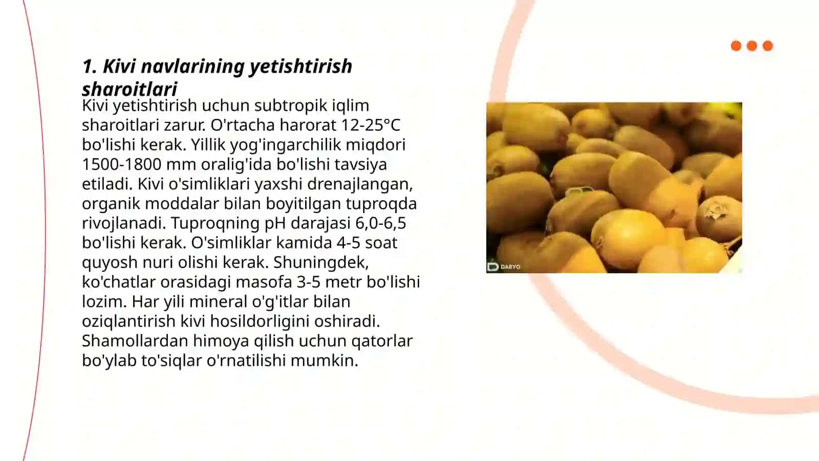 Kivi va Greyfrut Navlarini Yetishtirish 3