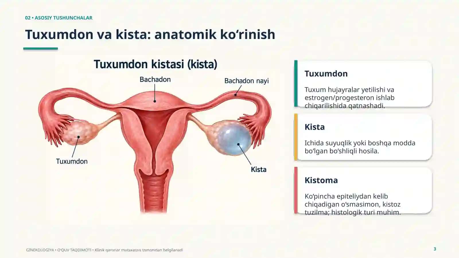 Tuxumdon kistalari va oʻsmalari 3
