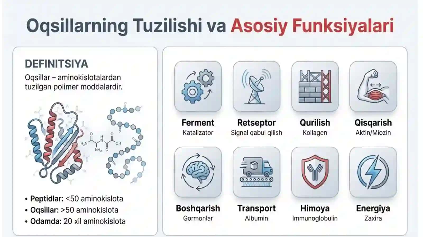 Oqsillar hazmlanishi va aminokislotalar so‘rilishi. Dezaminlanish, transaminlanish. Oqsil biosintezi, oqsillar polimorfizmi, gen injeneriya 3