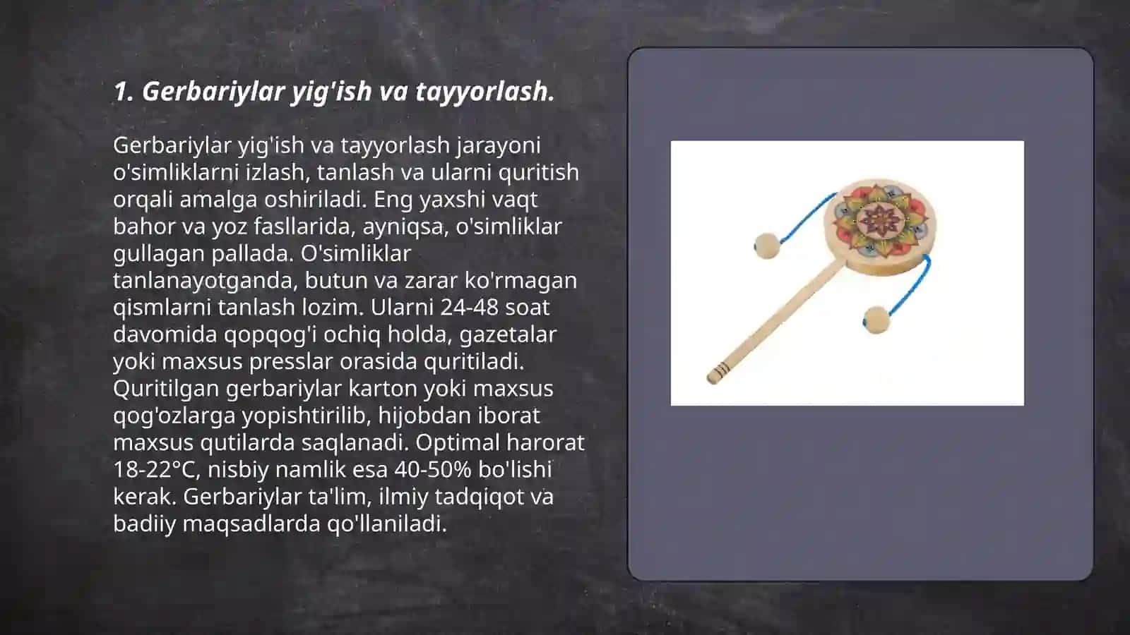 Gerbariyalarni yig'ish va tayyorlash 3