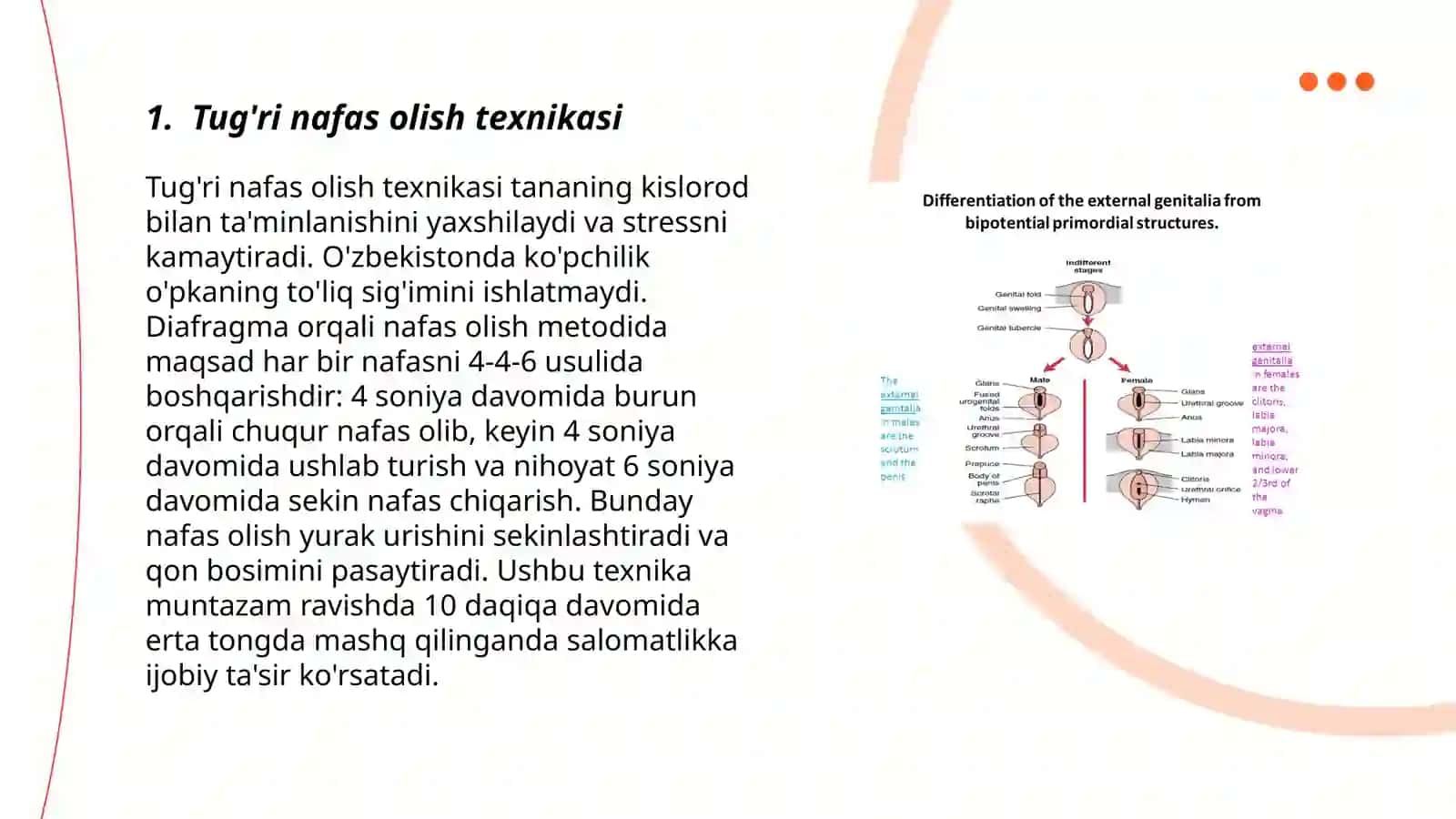Ertalabki badantarbiya mashqlari va 32 sanoqqa kompleks mashqlarni tuzish 3