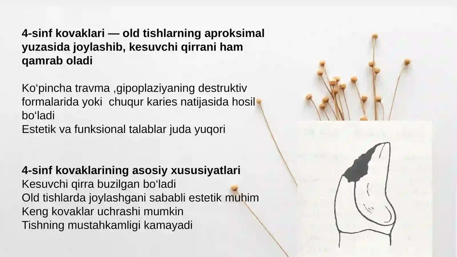 Fantomlarda 4-sinf karioz kovaklarini charxlash va plombalash 3