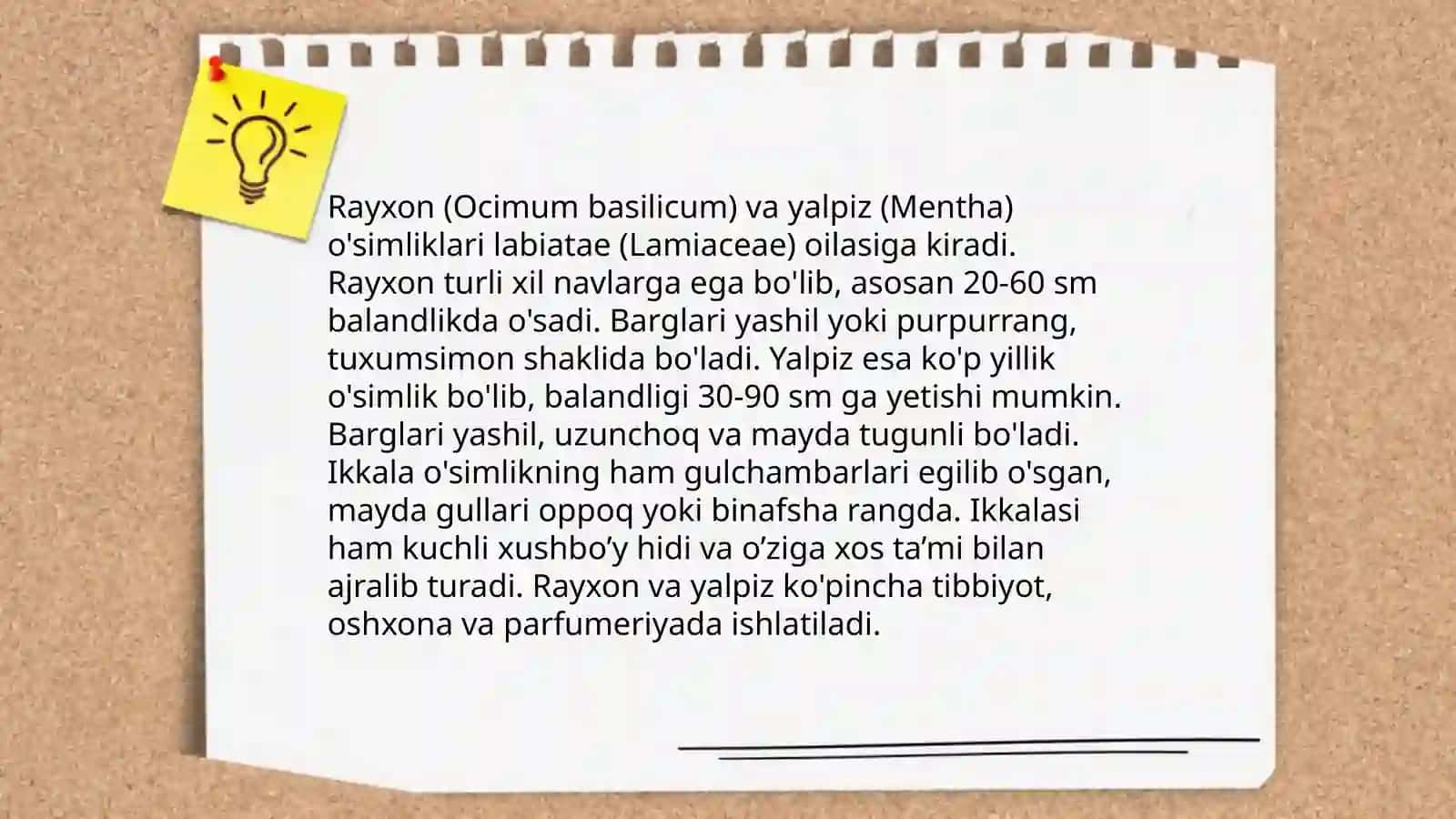 Rayxon va yalpiz oʻsimligi haqida 3