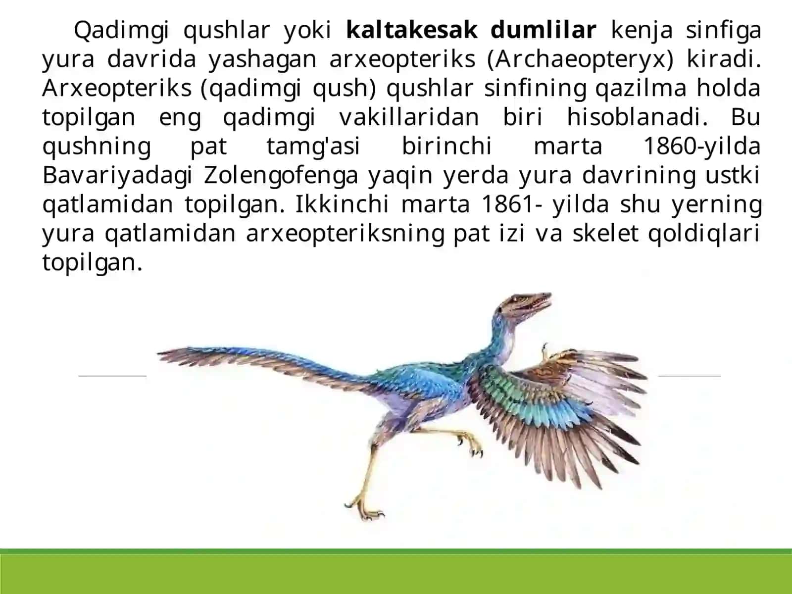 Qushlarsinfining sistematikasi 3