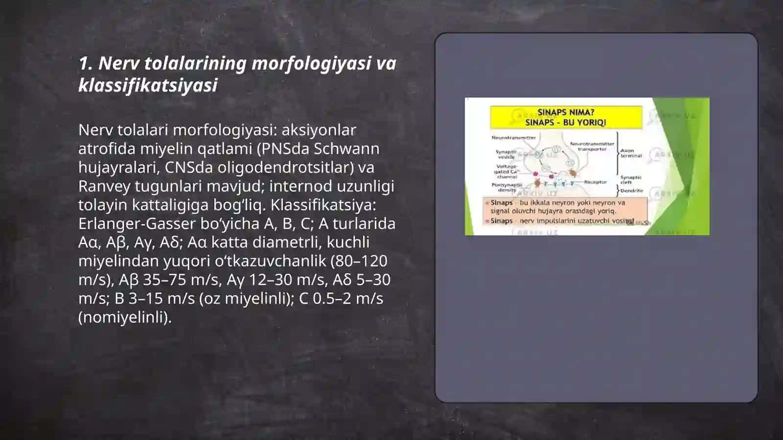 Nerv tolalari fiziologiyasi 3