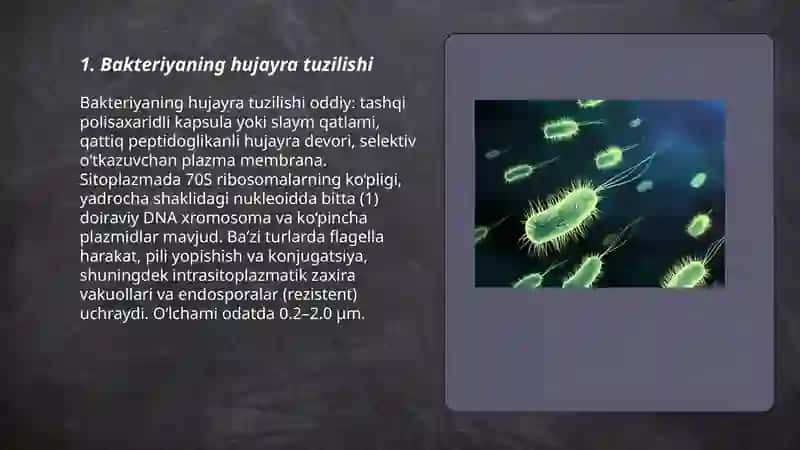 Bakteriya Ergashaliyeva shohruza 3