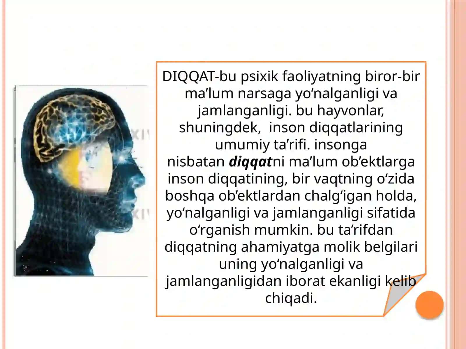 Diqqatning nerv-fiziologik asoslari 3