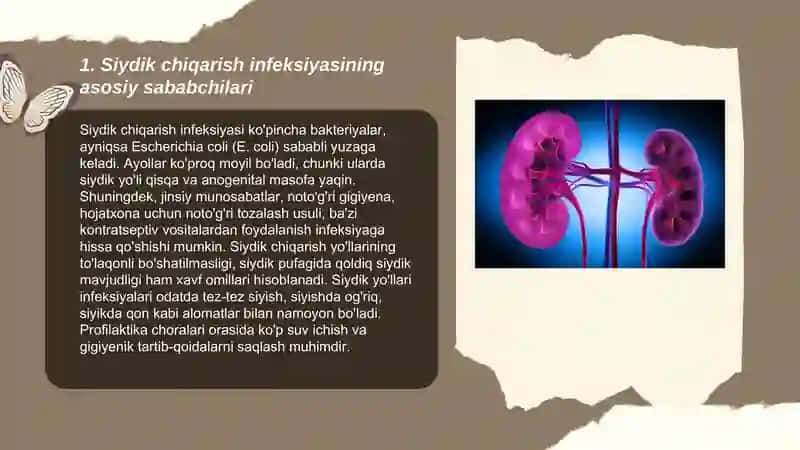Siydik chiqarish infeksiyasi, etiologiya, patogenezi, klinika, diagnostika, davolash 3