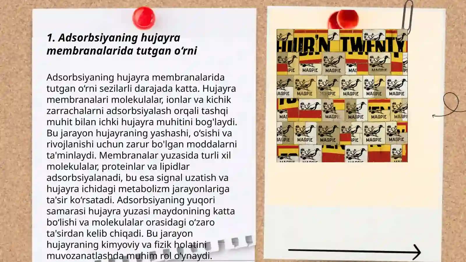 Adsorbsiyaning biologiya va tibbiyotdagi ahamiyati 3