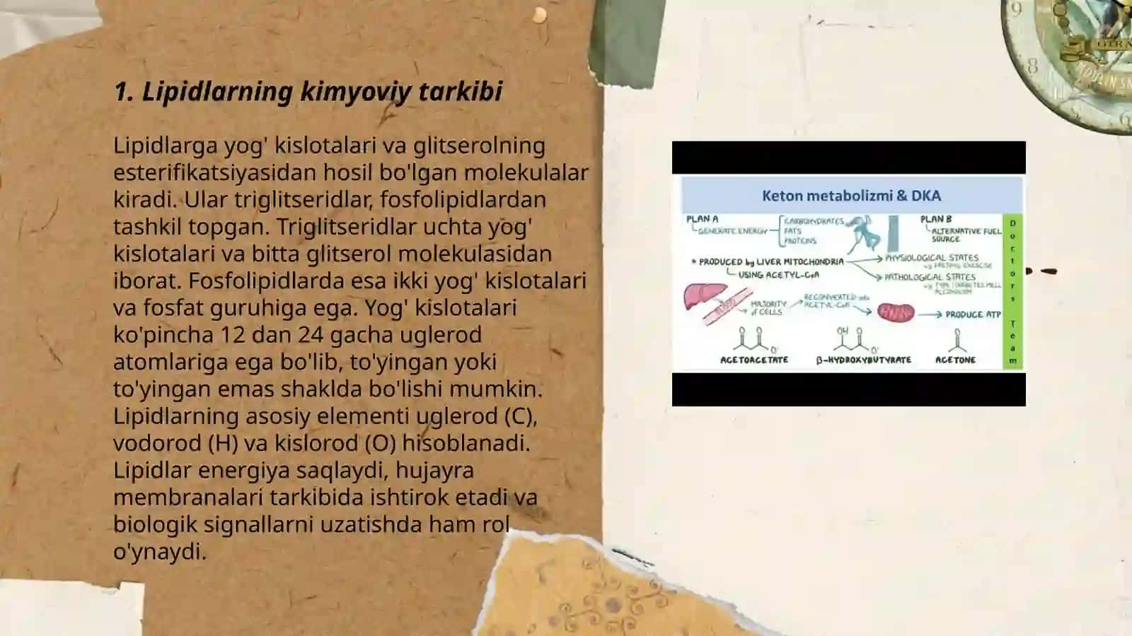 Lipidlar tuzilishi,funksiyasiga metabolizmi 3