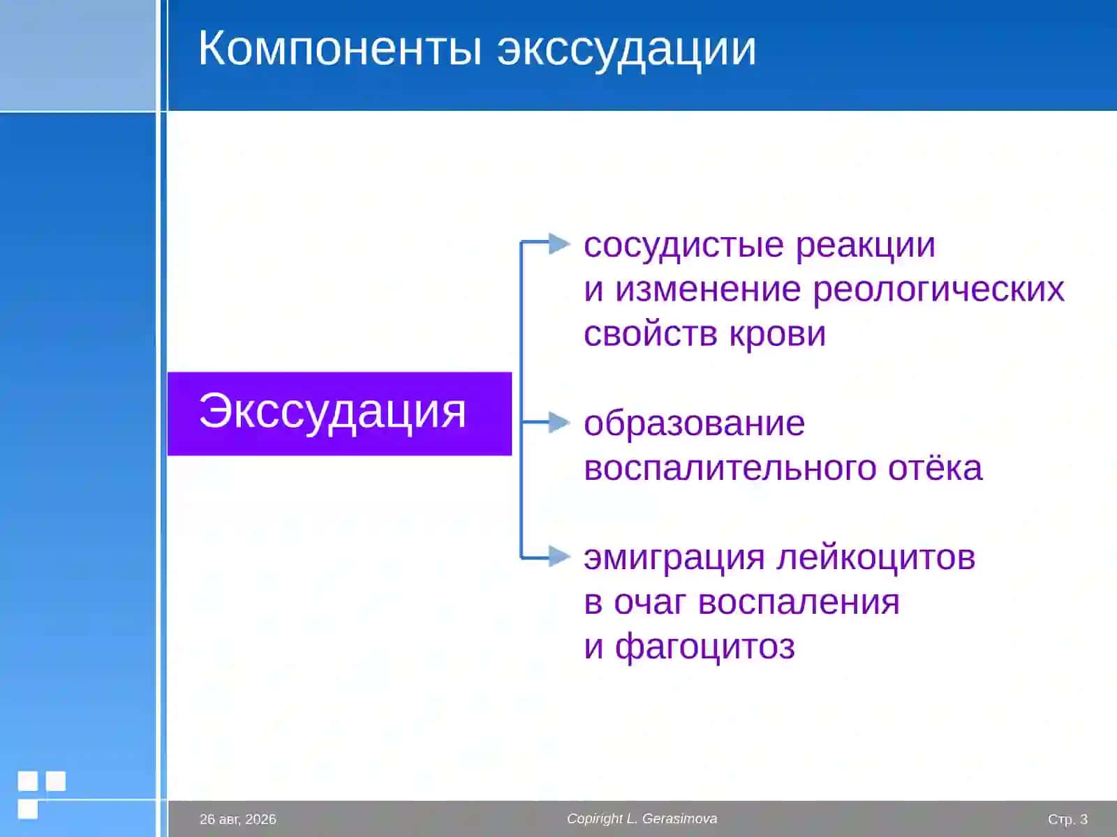 Экссудация Воспаление 3