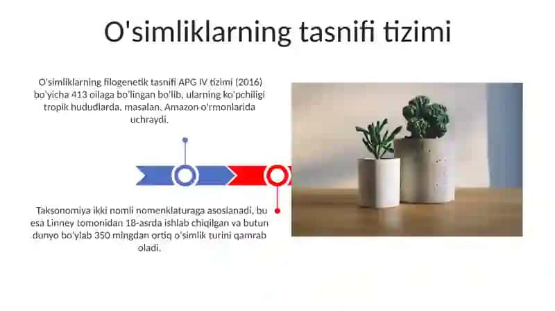 Oliy oʻsimliklarning sistematik botanikasi 3