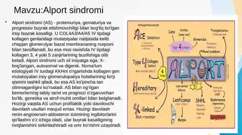 Alport sindromi 3