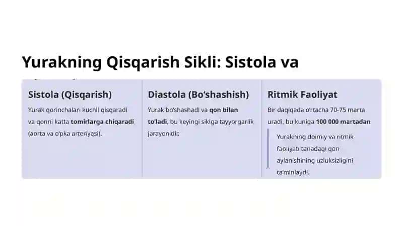 Yurak Faoliyatini Boshqarishning O‘ziga Xosligi 3