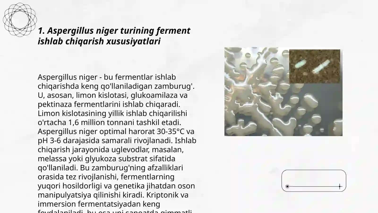 Aspergillus niger, Saccharomyces cervisial va Bacillus subtilis mikroorganizmlarning ferment ajratib olishi 3