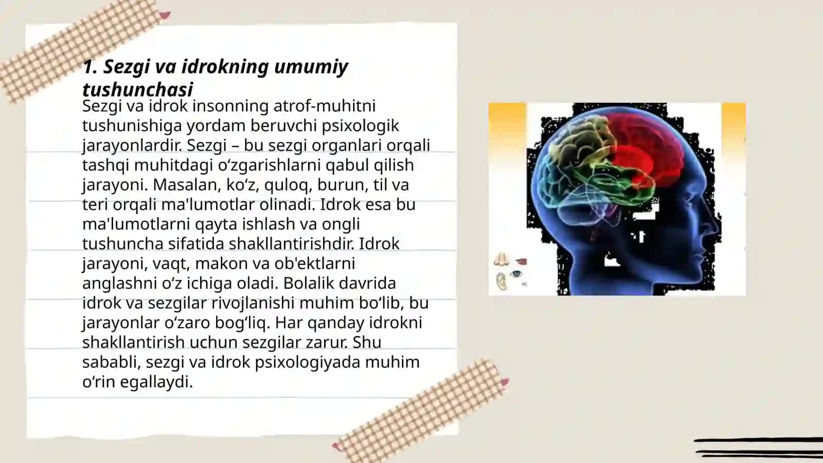 Sezgi va idrokning psixologik mohiyati, fiziologiyasi 3