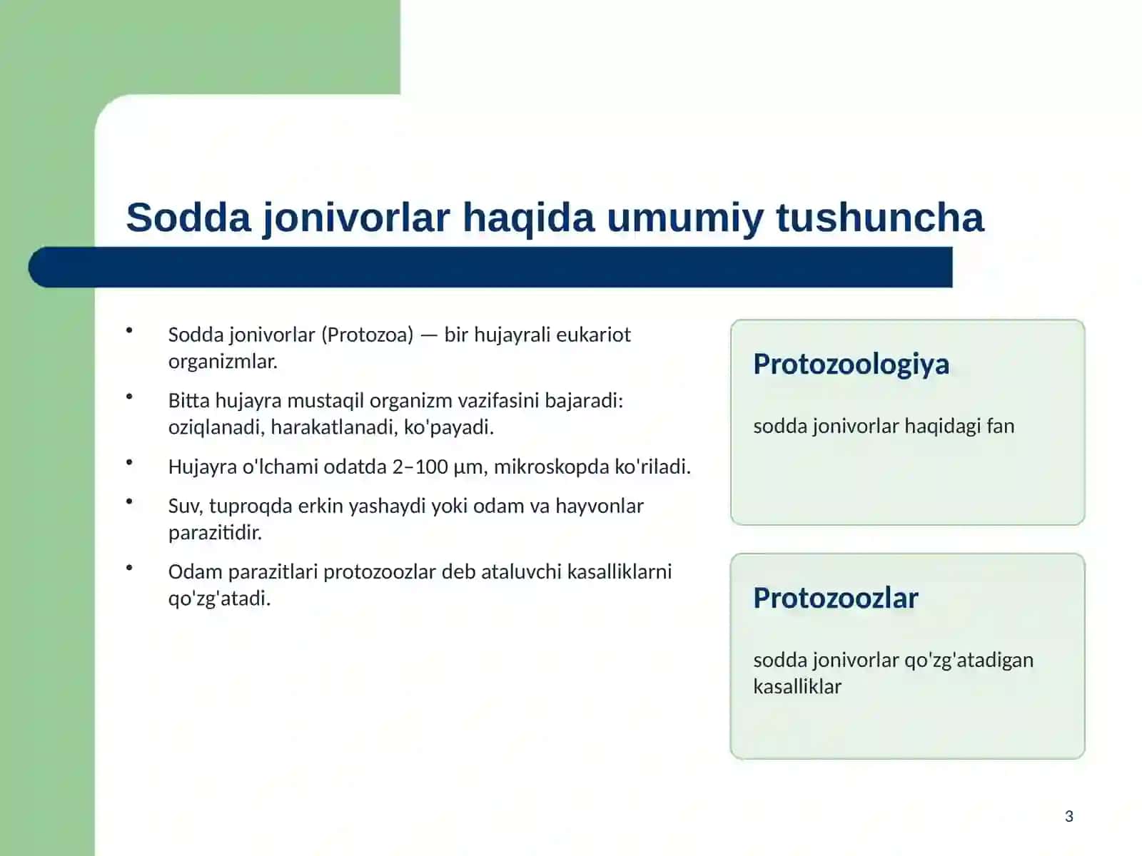 Sodda jonivorlar. Ulaming morfologiyasi, strukturasi va ulami o’rganish usullari 3