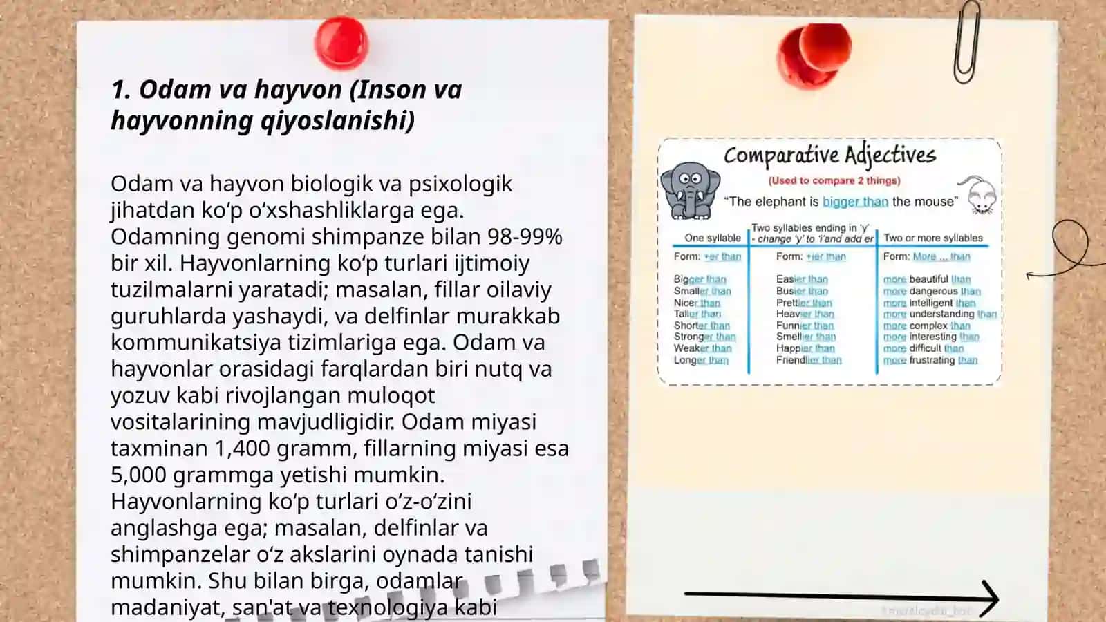 Odam va hayvon (Inson va hayvonning qiyoslanishi) 3