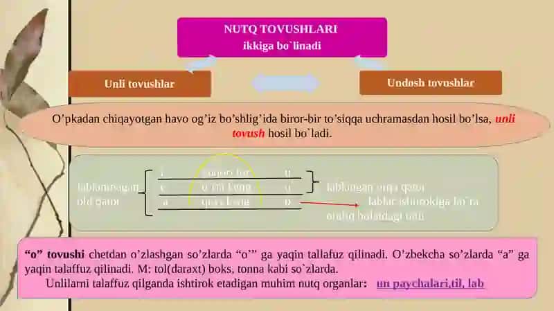 Unlilar tashnifi 3
