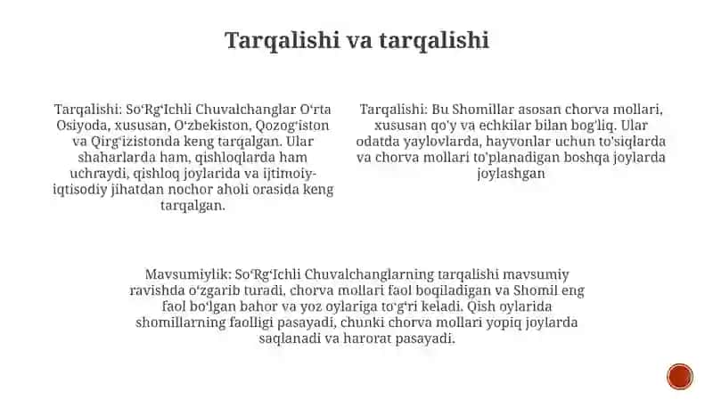 SoʻRgʻIchli Chuvalchanglar 3