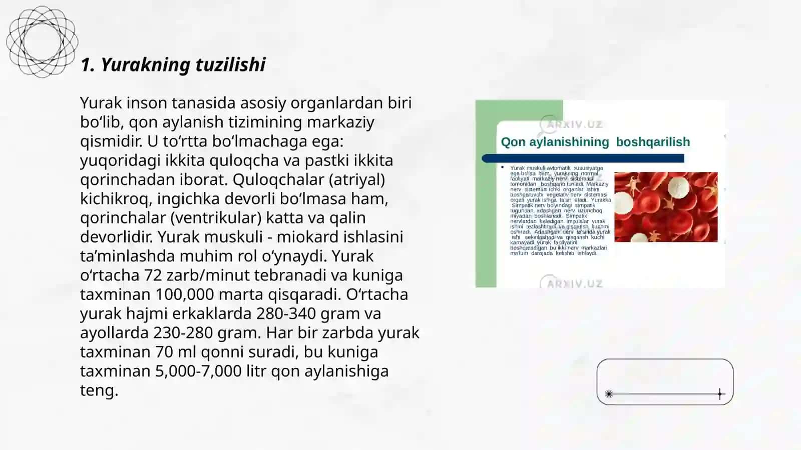 Qon aylanish sistemasi 3