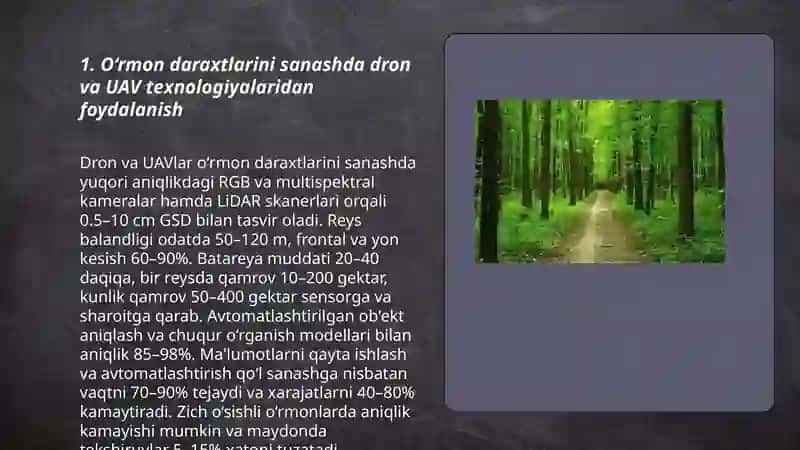 O‘rmon, undagi daraxtlar sonini aniqlash 3