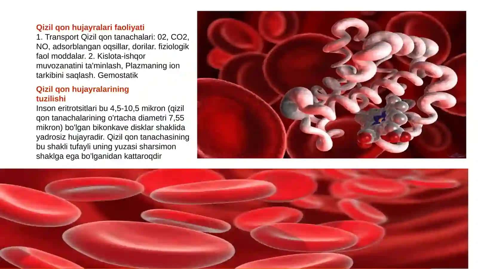 Eritrotsitlar .Gemoglobin va uning turlari 3
